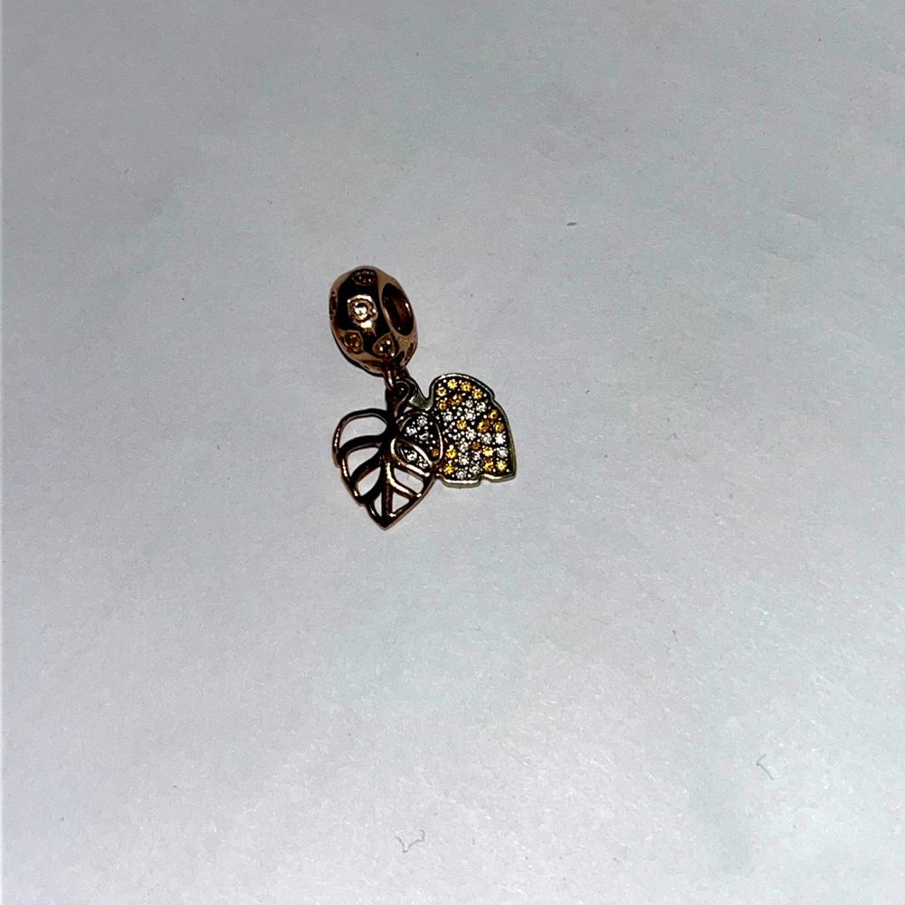 Pandora charm